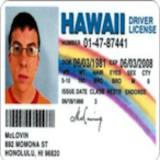 McLovim's Avatar'