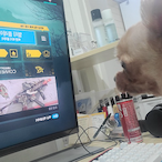 pwadyeo's Avatar'