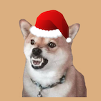tinylittlepuppy's Avatar'