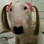 ZEARF's Avatar'