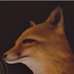 Phant0m357's Avatar'