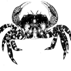 www.LmnPrty.gov's Avatar'