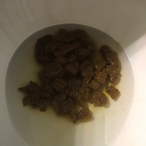 Pooplopmclop's Avatar'