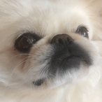 machobacon77's Avatar'