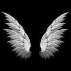 Miss.M3G4N's Avatar'