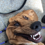 PaImWithPete's Avatar'