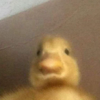 angermngmnt's Avatar'