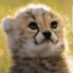 TheProfessor.01's Avatar'