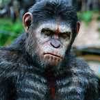 Ape.Ape's Avatar'