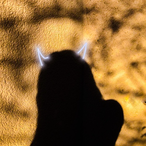 Mesuki.s's Avatar'