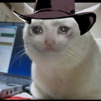 captainDellis's Avatar'