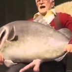 Nexxuss1701's Avatar