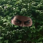 rephSOB's Avatar'