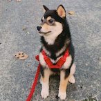 XimOnMind67's Avatar'