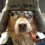 Cain_Insane's Avatar