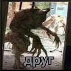 R4PP1's Avatar'