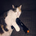 ppibik_2's Avatar'