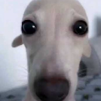 ProxFan69's Avatar'