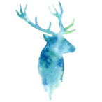 Naz 40 40's Avatar'