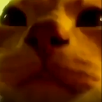 Cool_Mokey's Avatar'