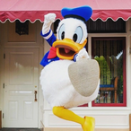quoocky's Avatar'