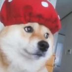 call2486628121's Avatar'