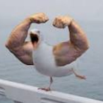 pwippy's Avatar'