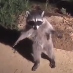BuffRainbowPls's Avatar'