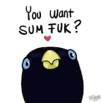 SiegeMaster6260's Avatar'