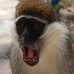 DragonRiding._.'s Avatar'