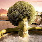 CheeseStains951's Avatar'