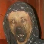 Scrub Cell's Avatar'