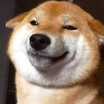 Another0ne23's Avatar'