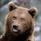 Toxic_B3AR's Avatar'