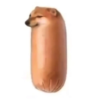 StevoBruj's Avatar'