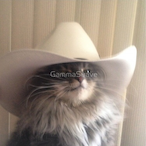 Ancapistani_Jr's Avatar'
