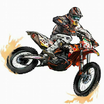 RochenDaemon35's Avatar'