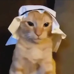Jonboy_76's Avatar'