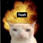 F4oX_'s Avatar'