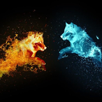 Banximusers9561's Avatar'