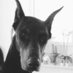 MOB_Mafioso83's Avatar