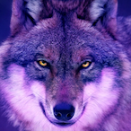 Sgt.Wlf's Avatar'