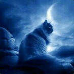 kichao's Avatar'