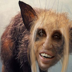Dasbrett_1's Avatar'