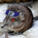 Ttatgee_Ttatgee's Avatar'