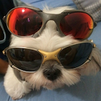 TaAdaptada's Avatar'