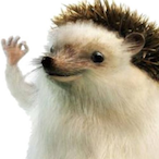 YummyMissile96's Avatar'