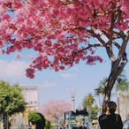 FrauenTester's Avatar'