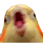 FEltZer_'s Avatar'