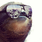 MolekYule's Avatar'